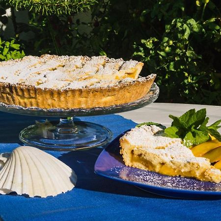 Antonella B&B Santa Maria di Leuca Dış mekan fotoğraf